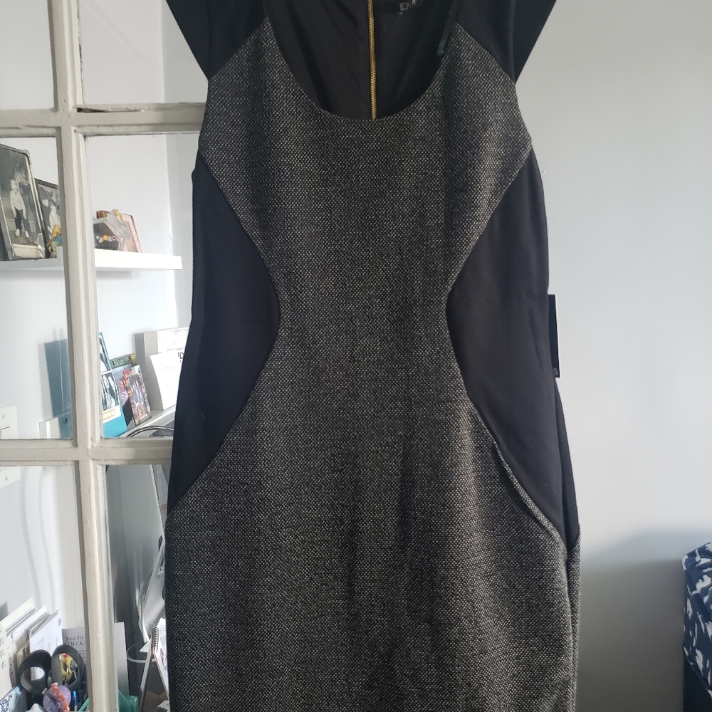 Express bodycon dress - NWT